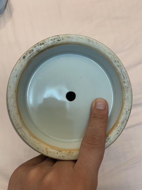 古玩陶瓷灑藍鳳穿牡丹紋青花瓶真品鑒賞圖