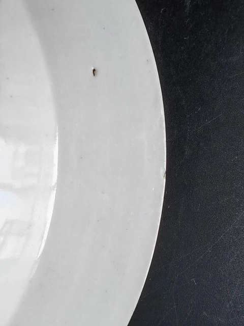 古玩陶瓷清雍正藍料彩堆白纏枝花卉紋盤真品鑒賞圖