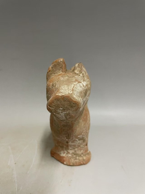 古玩陶瓷唐·旺財(cái)拍賣,當(dāng)前價(jià)格0元