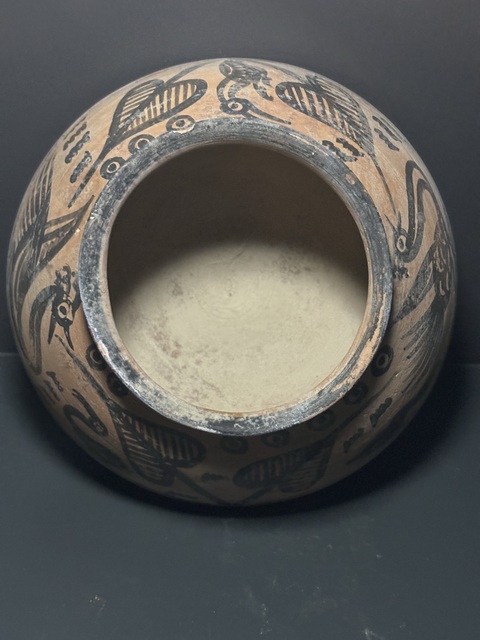 古玩陶瓷哈拉帕·神鳥(niǎo)紋真品鑒賞圖