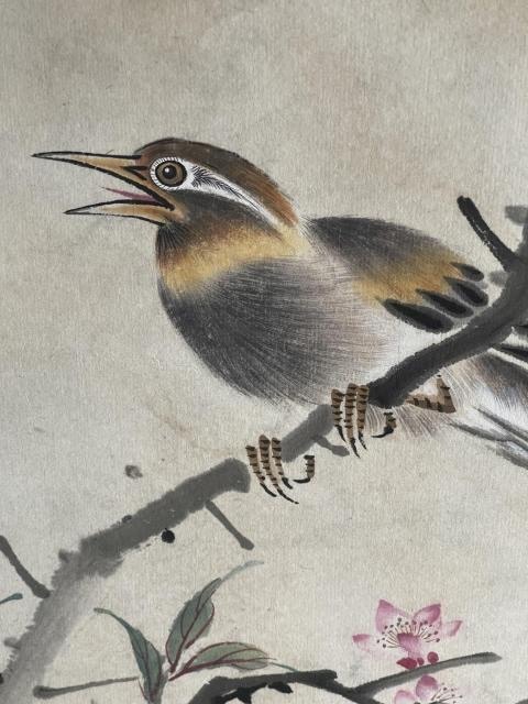 古玩字畫畢淵明·花鳥圖真品鑒賞圖