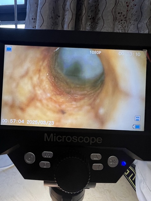 古玩玉器仿古玉勒子真品鑒賞圖