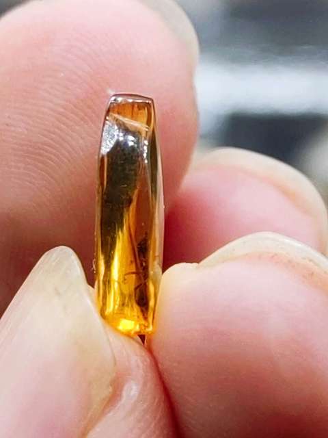 古玩雜項琥珀珍品‘蟲珀’(遠古螞蟻)拍賣,當前價格0元