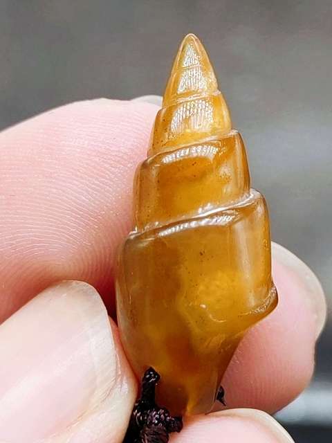 古玩雜項玉化塔螺 化 石 (已打孔串繩,可直接佩戴)拍賣,當前價格0元