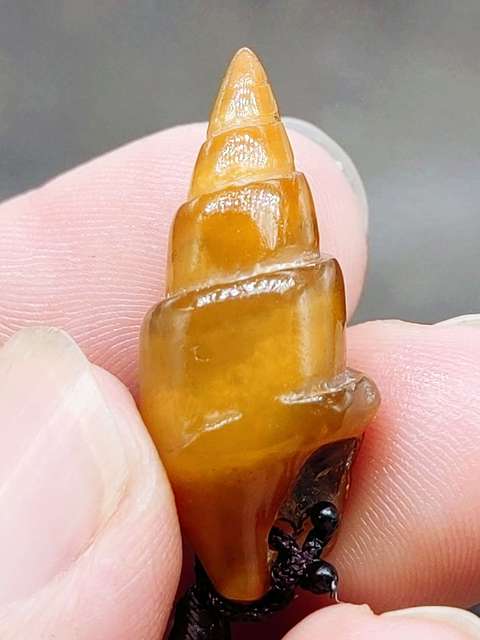 古玩雜項玉化塔螺 化 石 (已打孔串繩,可直接佩戴)拍賣,當前價格0元