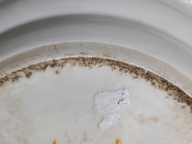 古玩陶瓷晚清廣彩盤真品鑒賞圖