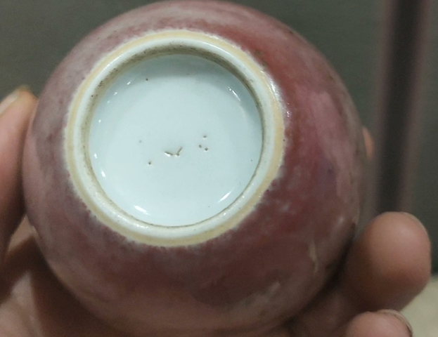 古玩陶瓷豇豆紅水呈真品鑒賞圖
