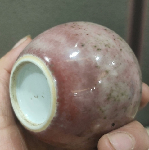 古玩陶瓷豇豆紅水呈真品鑒賞圖
