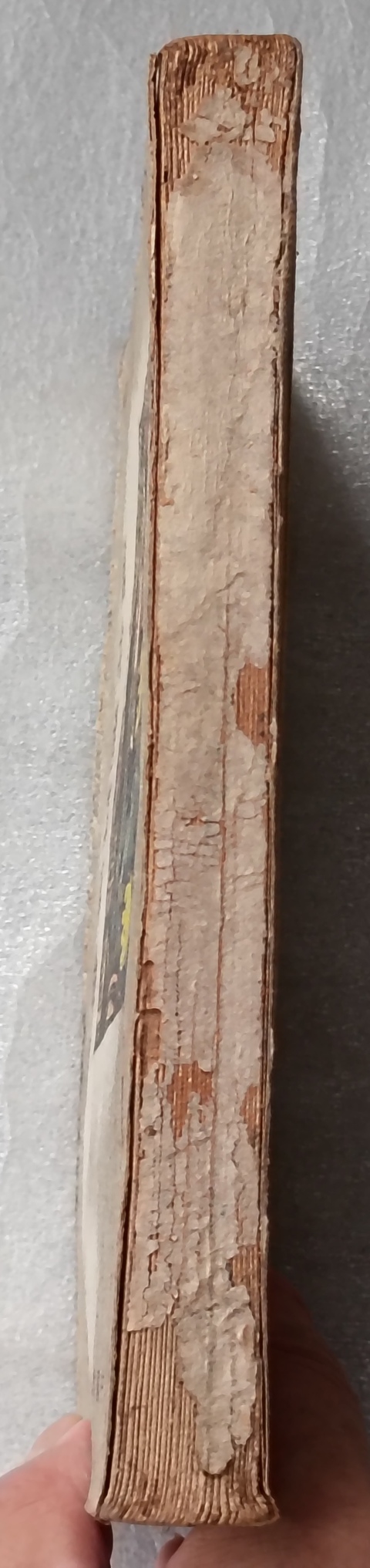 古玩字畫書籍真品鑒賞圖