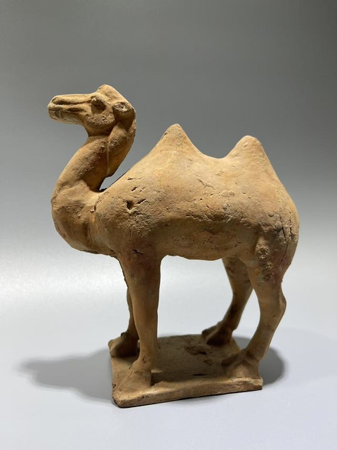 古玩陶瓷唐·駱駝拍賣,當(dāng)前價(jià)格376元