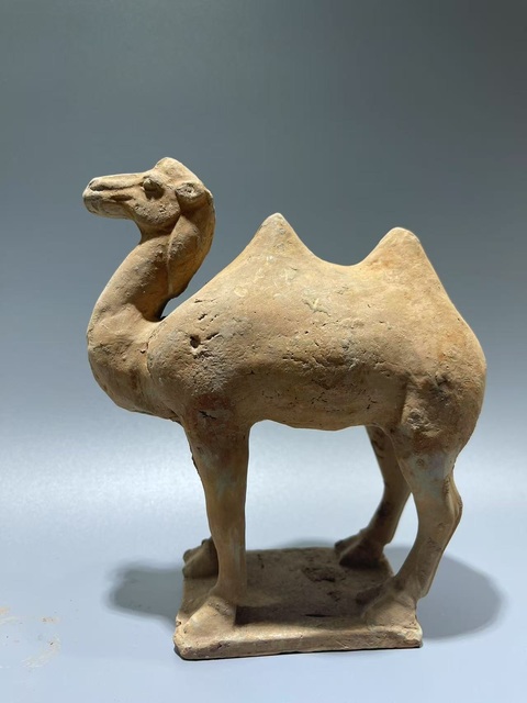 古玩陶瓷唐·駱駝拍賣,當(dāng)前價(jià)格376元