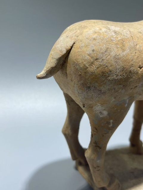 古玩陶瓷唐·西風(fēng)瘦馬拍賣,當(dāng)前價格714元