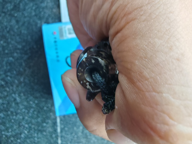 古玩玉器仿古做舊玉勒子真品鑒賞圖