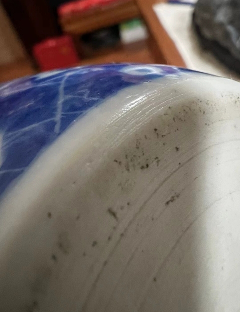 古玩陶瓷青花開光花鳥紋罐真品鑒賞圖