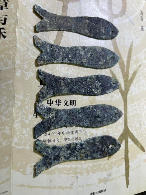 古玩雜項(xiàng)先秦·魚幣五條真品鑒賞圖