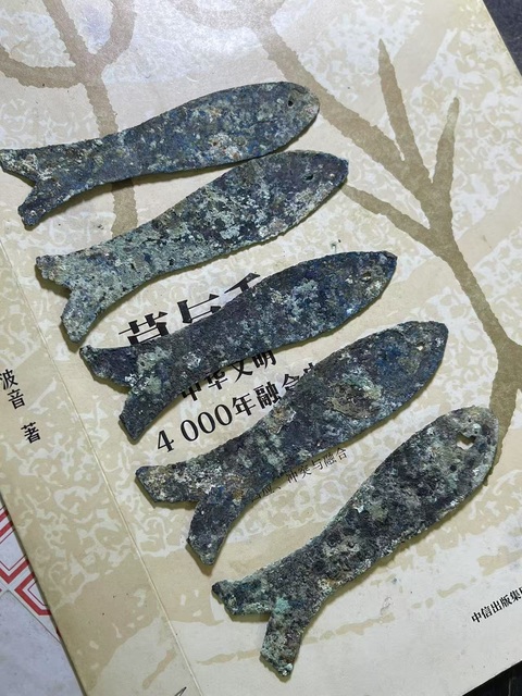 古玩雜項(xiàng)先秦·魚幣五條真品鑒賞圖