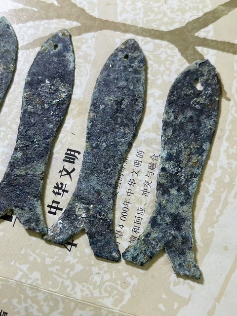古玩雜項(xiàng)先秦·魚幣五條真品鑒賞圖