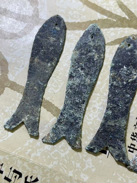 古玩雜項(xiàng)先秦·魚幣五條真品鑒賞圖