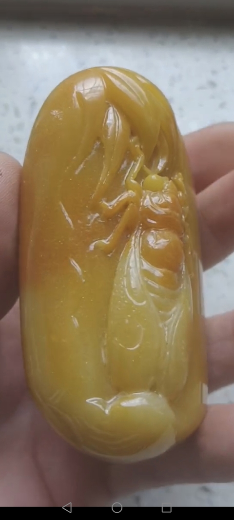 古玩玉器黃龍玉一鳴驚人真品鑒賞圖