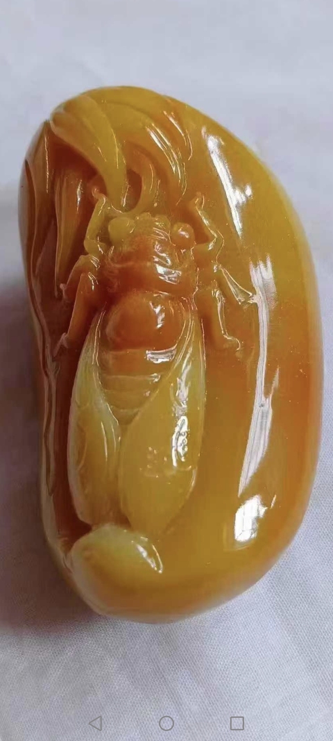古玩玉器黃龍玉一鳴驚人真品鑒賞圖