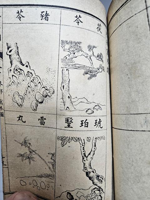古玩字畫《本草綱目拾遺》真品鑒賞圖