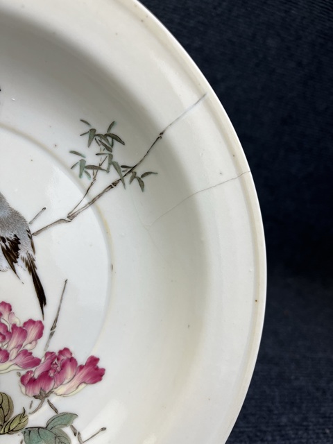 古玩陶瓷粉彩花鳥紋盤真品鑒賞圖