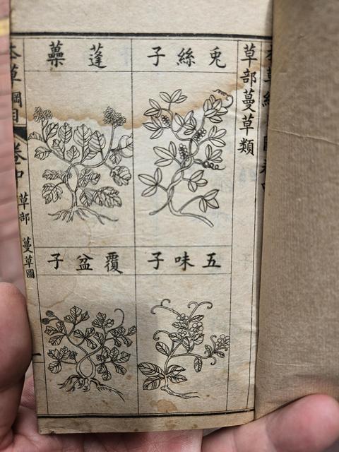 古玩字畫《本草綱目拾遺》石印本真品鑒賞圖