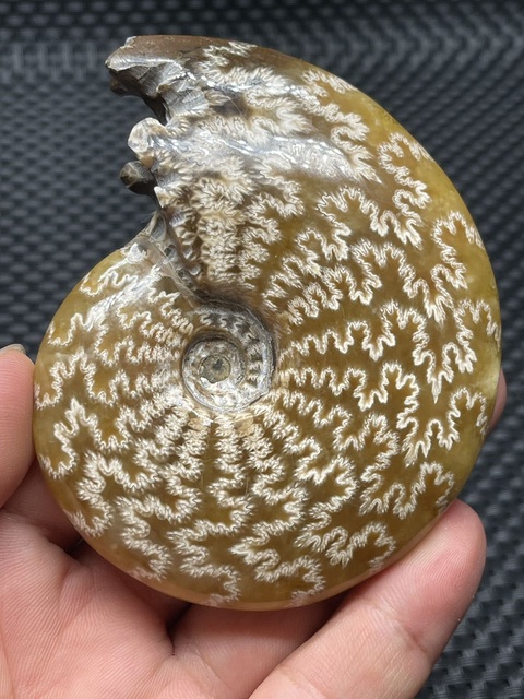 古玩雜項花石真品鑒賞圖