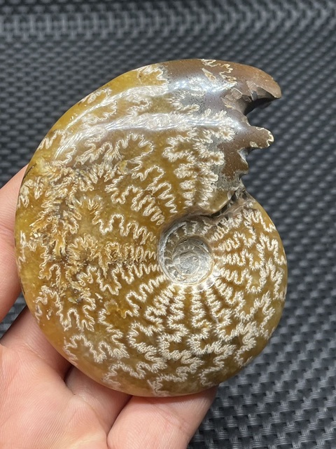 古玩雜項花石真品鑒賞圖