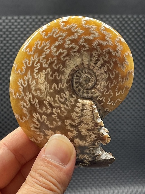 古玩雜項花石真品鑒賞圖