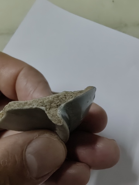古玩陶瓷青瓷片真品鑒賞圖