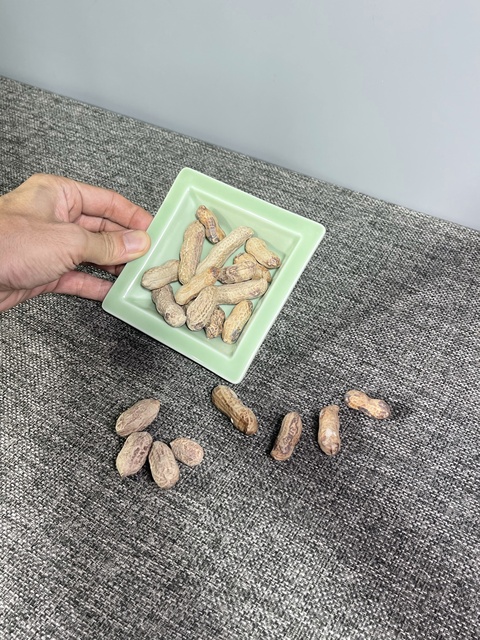 古玩陶瓷仿生瓷花生真品鑒賞圖