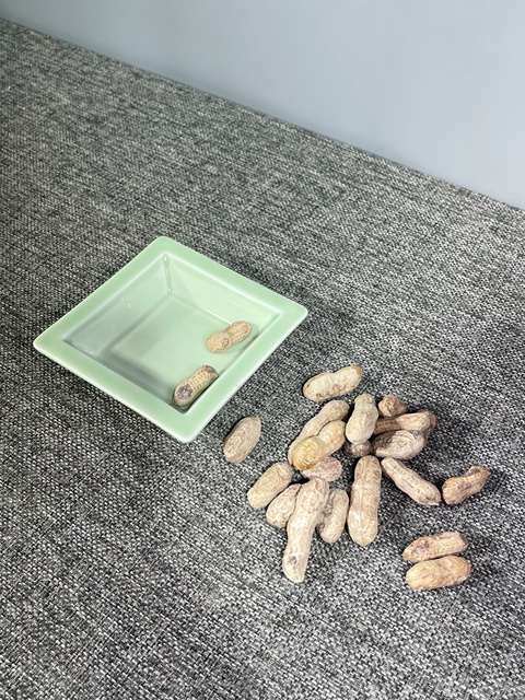 古玩陶瓷仿生瓷花生真品鑒賞圖