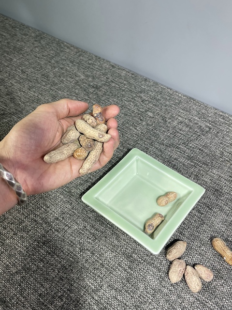 古玩陶瓷仿生瓷花生真品鑒賞圖