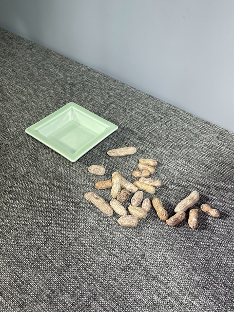 古玩陶瓷仿生瓷花生真品鑒賞圖