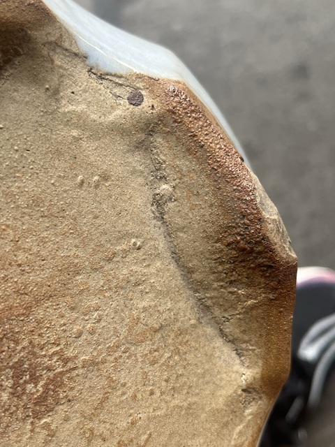 古玩陶瓷鈞釉水仙盆真品鑒賞圖