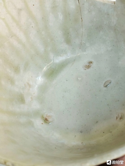 古玩陶瓷隋白標本真品鑒賞圖