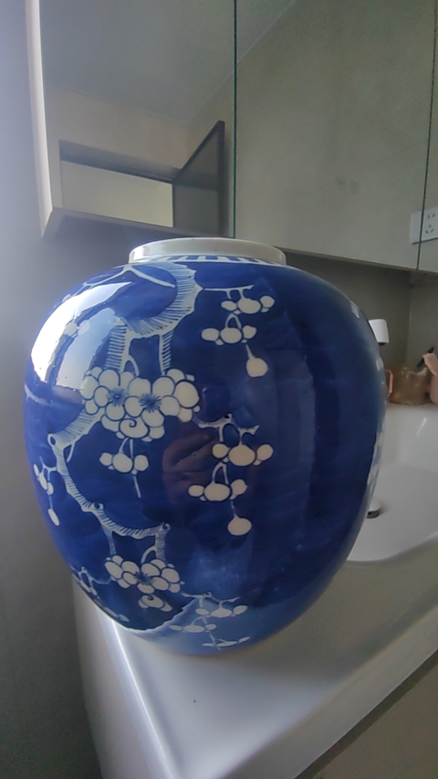 古玩陶瓷青花留白梅紋罐真品鑒賞圖