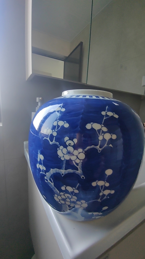 古玩陶瓷青花留白梅紋罐真品鑒賞圖