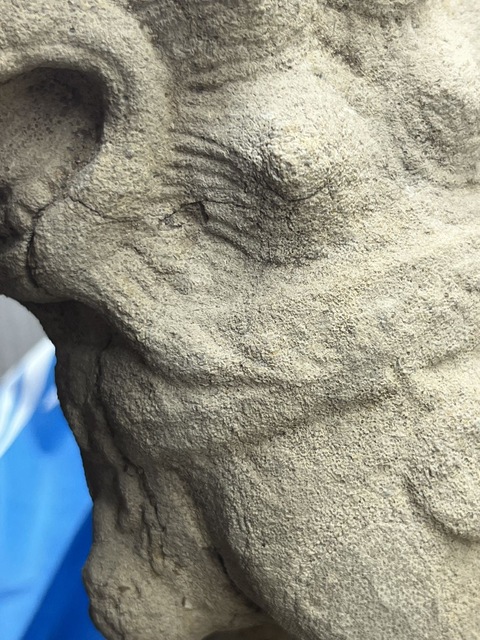 古玩雜項石獅真品鑒賞圖