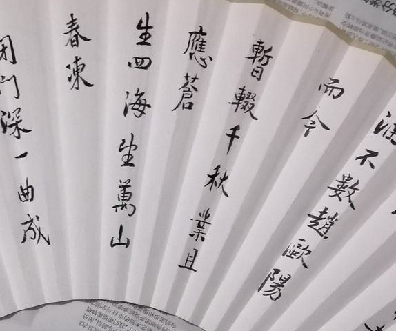 古玩字畫史樹青款行書扇面真品鑒賞圖