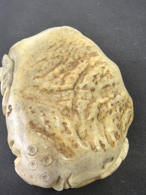 古玩雜項水盛真品鑒賞圖