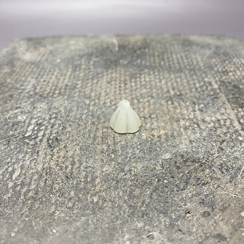 古玩陶瓷創(chuàng)匯·和田玉·蓮蓬·小擺件拍賣,當前價格389元