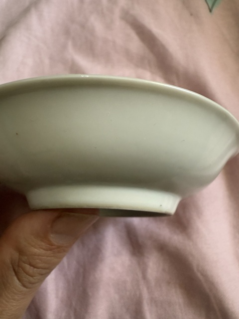 古玩陶瓷粉彩碟真品鑒賞圖