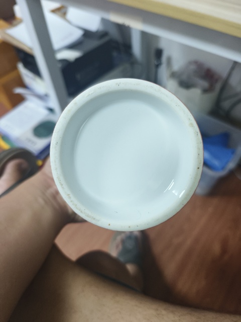 古玩陶瓷十九世紀歐洲徽章瓷瓶真品鑒賞圖
