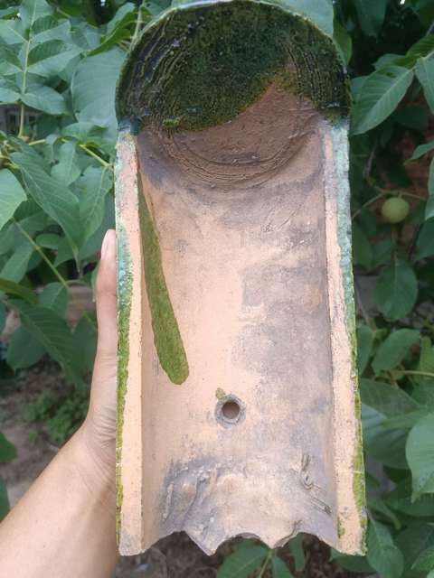 古玩陶瓷清~綠釉龍紋瓦當拍賣,當前價格0元