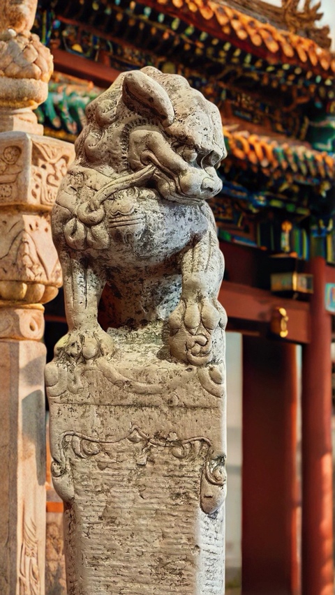 古玩雜項栓馬樁真品鑒賞圖