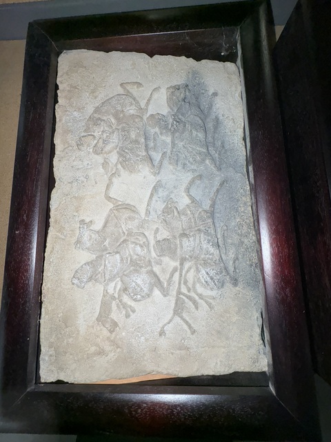 古玩陶瓷磚雕真品鑒賞圖