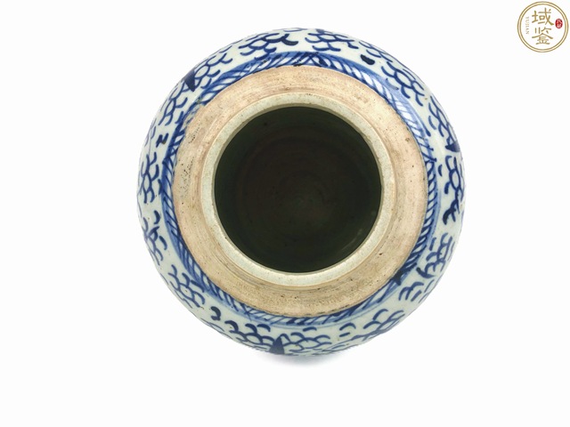 古玩陶瓷清中·青花太陽花卉紋罐真品鑒賞圖