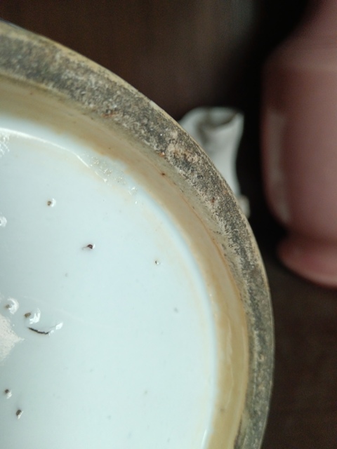 古玩陶瓷青花花卉紋獅耳琵琶尊真品鑒賞圖